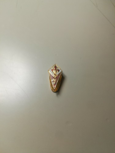 Distintivo pin badge spilla - badge,