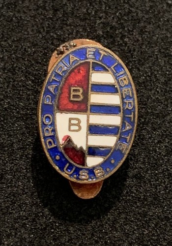 Pro patria distintivo - pro,