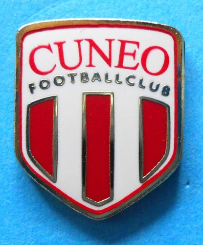 Distintivo spilla pin - spilla,